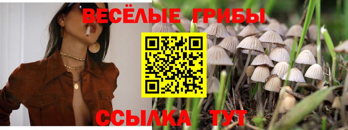 Галлюциногенные грибы MAGIC MUSHROOMS Ростов-на-Дону